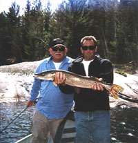 Clark's 34" northern